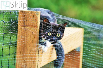 Dobra siatka balkonowa - na ptaki i dla kota | Sklep z zabezpieczającymi siatkami na balkon