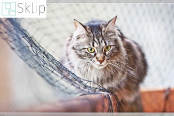 Siatka dla kota na balkon z małym oczkiem | Sklep z zabezpieczającymi siatkami na balkon