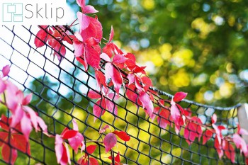 Elastyczna siatka sznurkowa na pnącza przy domu | Sklep siatkami wieszania roślin pnących