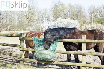 Paśnik dla konia - Siatki koń - 10x10/5 - na siano do karmienia koni | Sklep z paśnikami na siano dla koni